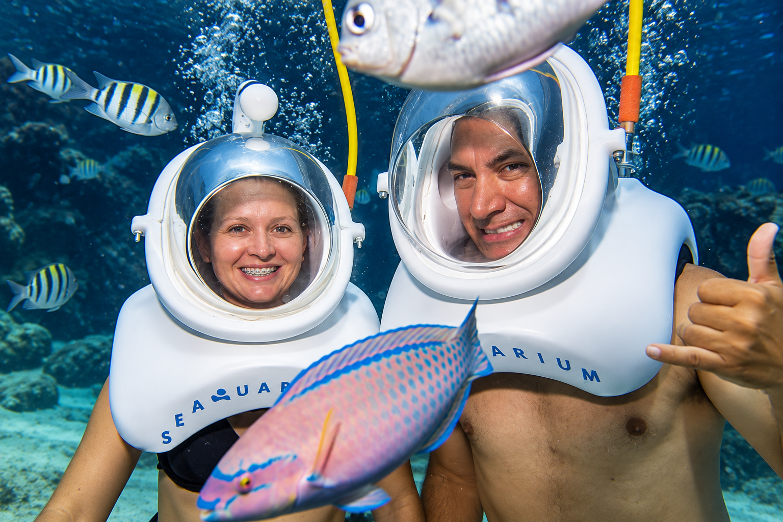 Seaquarium